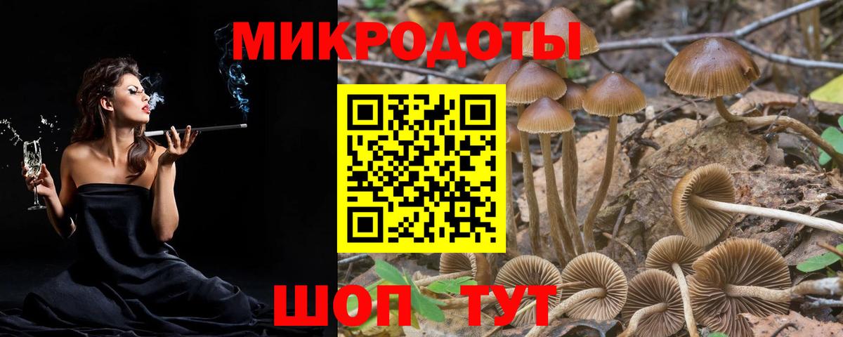 Зерноград  Галлюциногенные грибы Psilocybine cubensis  Вход с VPN 